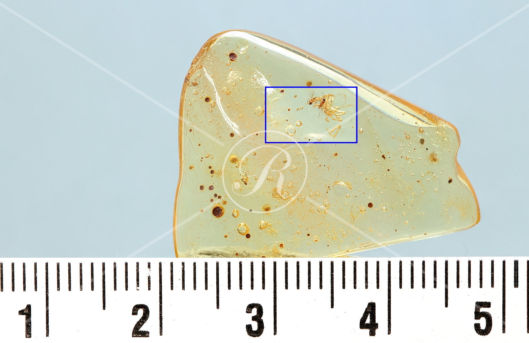 Watermark_217_N4éch .jpg